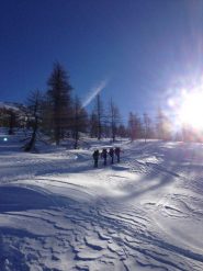 La comitiva all'uscita del bosco