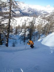 Matti assaggia il bosco
