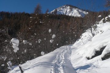 Fiocchi di neve