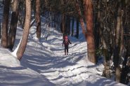 Alla partenza nel bosco