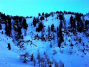 discesa su ottima farina tra cembri e larici  