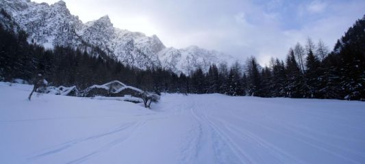 l'arrivo alla parte boschiva su tracce parzialmente coperte ma visibili...