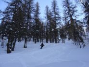 la discesa nella parte alta del bosco