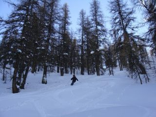 la discesa nella parte alta del bosco