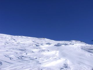 Cosa ha combinato ilvento