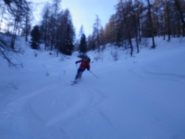 nel bosco
