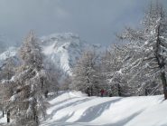 Cresta del Cotolivier