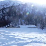 alpe arguel