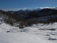 fra poco si entra nella boschina...