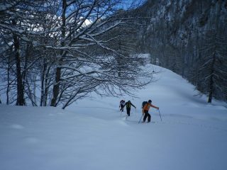 neve polverosa nella parte bassa