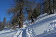 bella traccia e gran neve sin fori al bosco