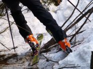 passaggi tecnici in bosco
