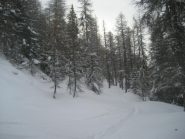 ottima traccia (e farina) in salita nel bosco