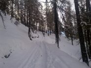 salita nel bel bosco sopra la Magdelaine