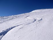 traccia di lupo delle nevi....! ;)