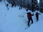 Bosco, parte bassa