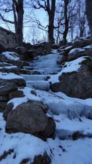 sentiero nei pressi del torrente Giasit
