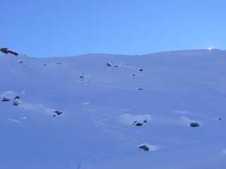 Bella traccia fatta da DIno