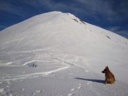 Colle dell'Arpiola