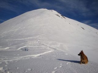 Colle dell'Arpiola