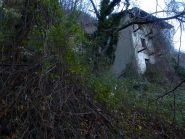 Pari' invasa dai ruvi'