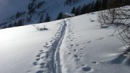 Arrivo alla casetta dello skilift....