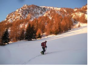 Verso il Col Vessona..oggi chiuso al traffico..