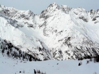 Fuori dai pini