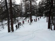 Parte bassa nel bosco