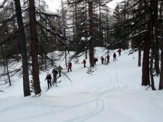 Parte bassa nel bosco