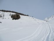 parte iniziale prima del bosco