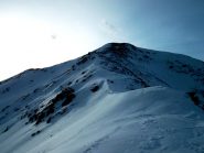 crosa