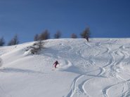 la parte alta del bosco