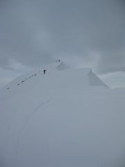 quasi in cima