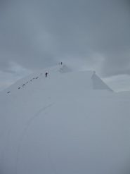 quasi in cima