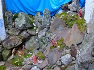 i Re Magi scendono in cordata dalla Guglia del Frate