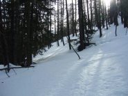 bel bosco rado
