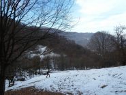 CHE DESOLAZIONE !!!
