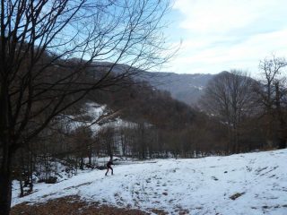 CHE DESOLAZIONE !!!