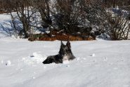 E dopo lo scavo, Frank si gode il sole ….