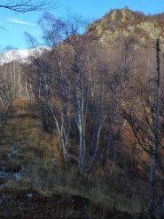 Deiro Nero dal colletto 1270m
