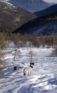 Dianetta e la bassa val del Po
