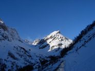 Parte bassa,cartone e ghiaccio...