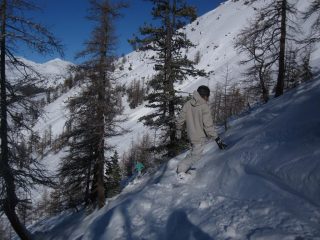 Traverso nel bosco