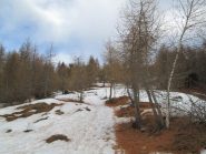 situazione neve alla partenza
