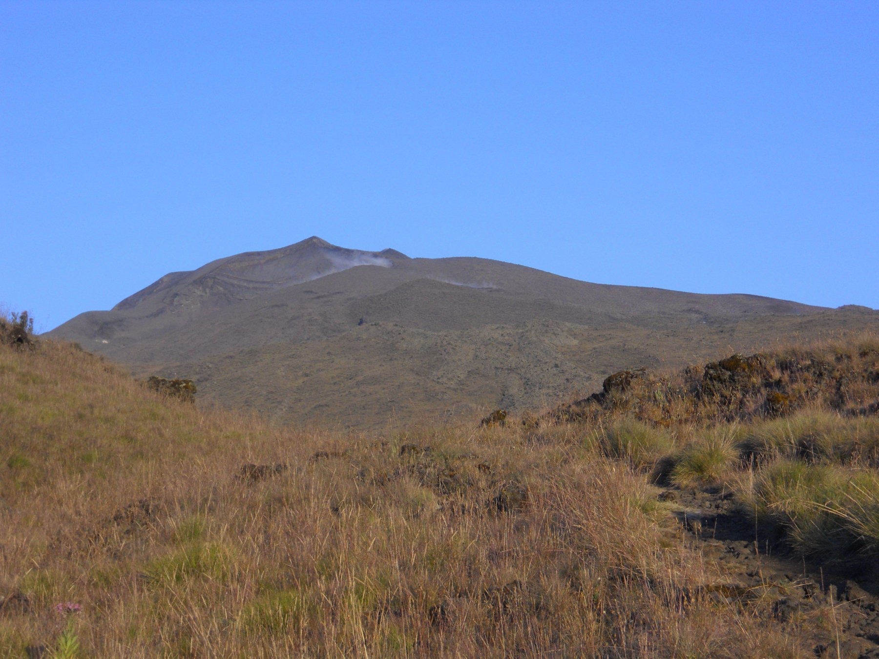 monte camerun
