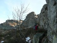 Si sale nei rododendri fino alla cintola, Franco nel suo ambiente naturale
