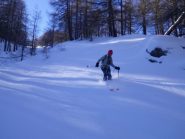 nel bosco