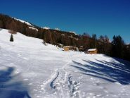 Malghe quota 1720