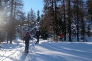 In uscita dal bosco